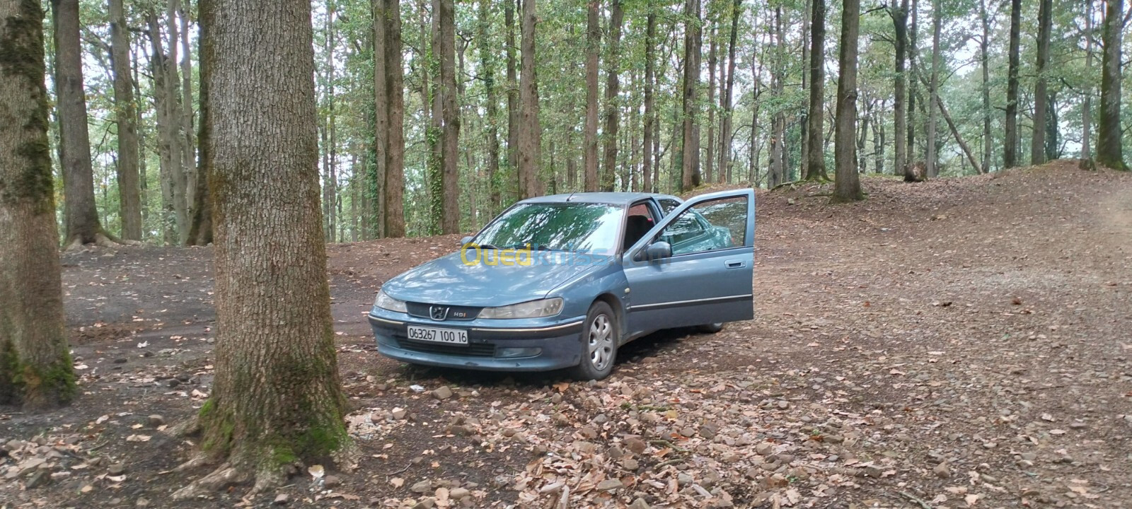 Peugeot 406 2000 