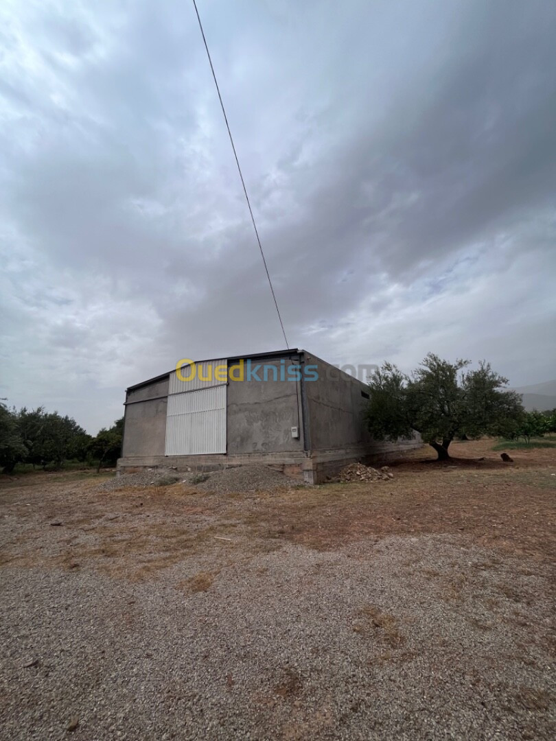 Location Hangar Béjaïa Tazmaltdaira