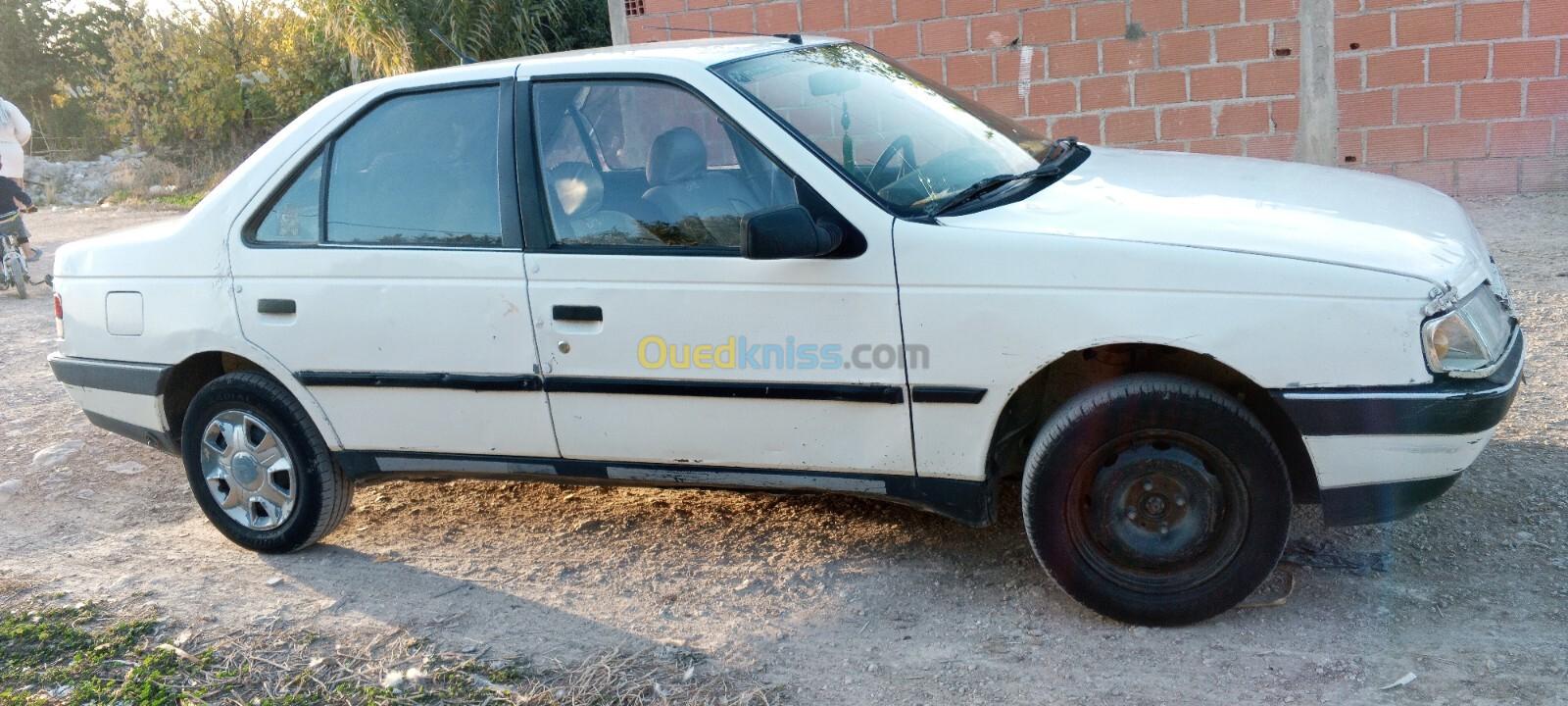 Peugeot 405 1989 