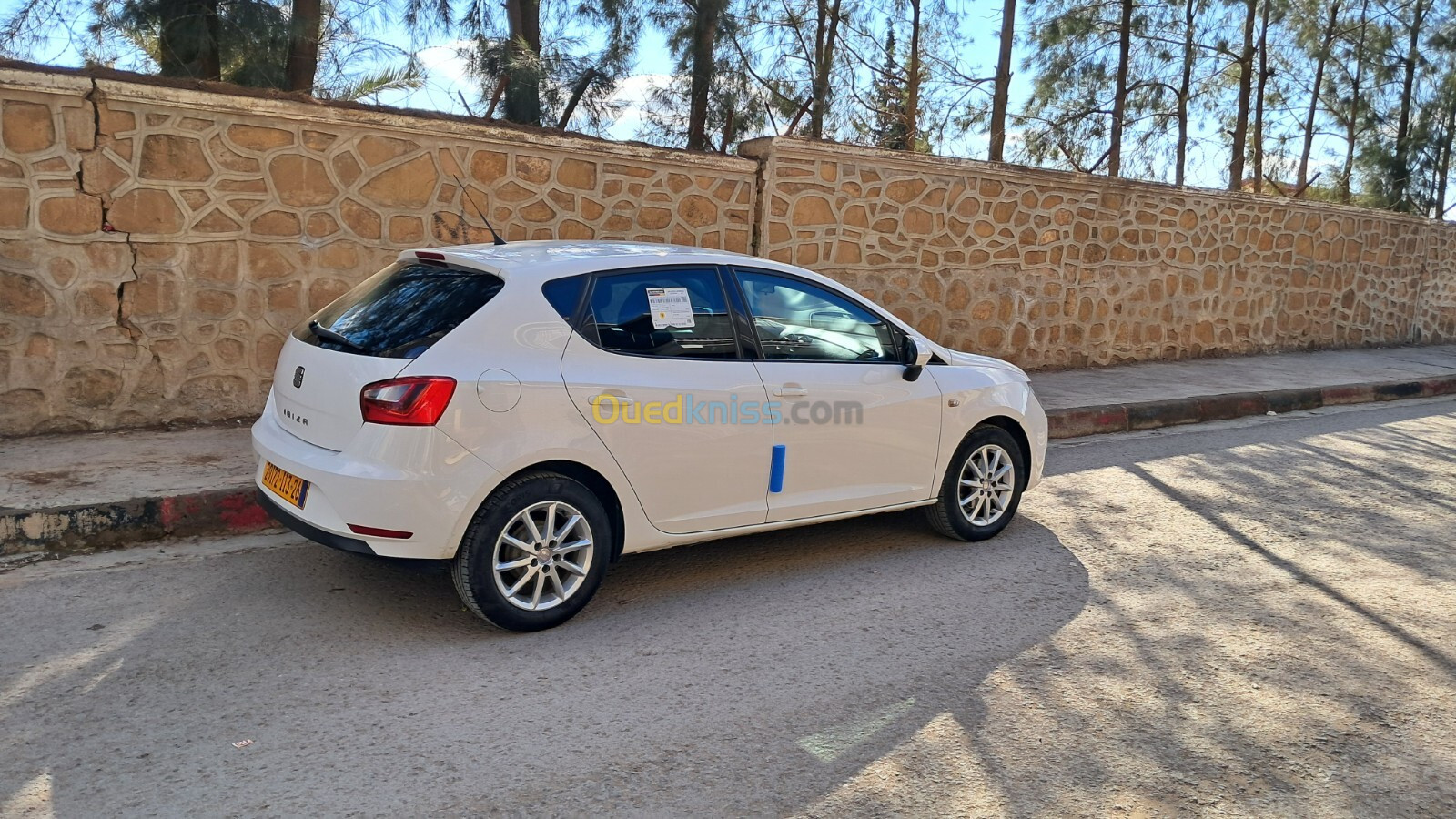 Seat Ibiza 2013 Fully