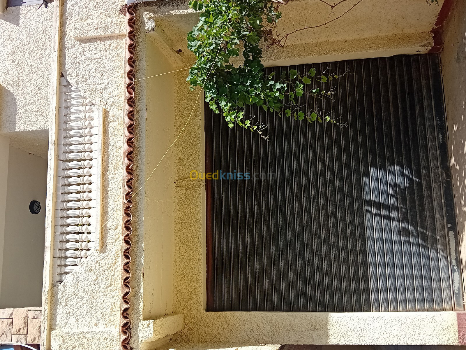 Vente Villa Alger Bordj el bahri