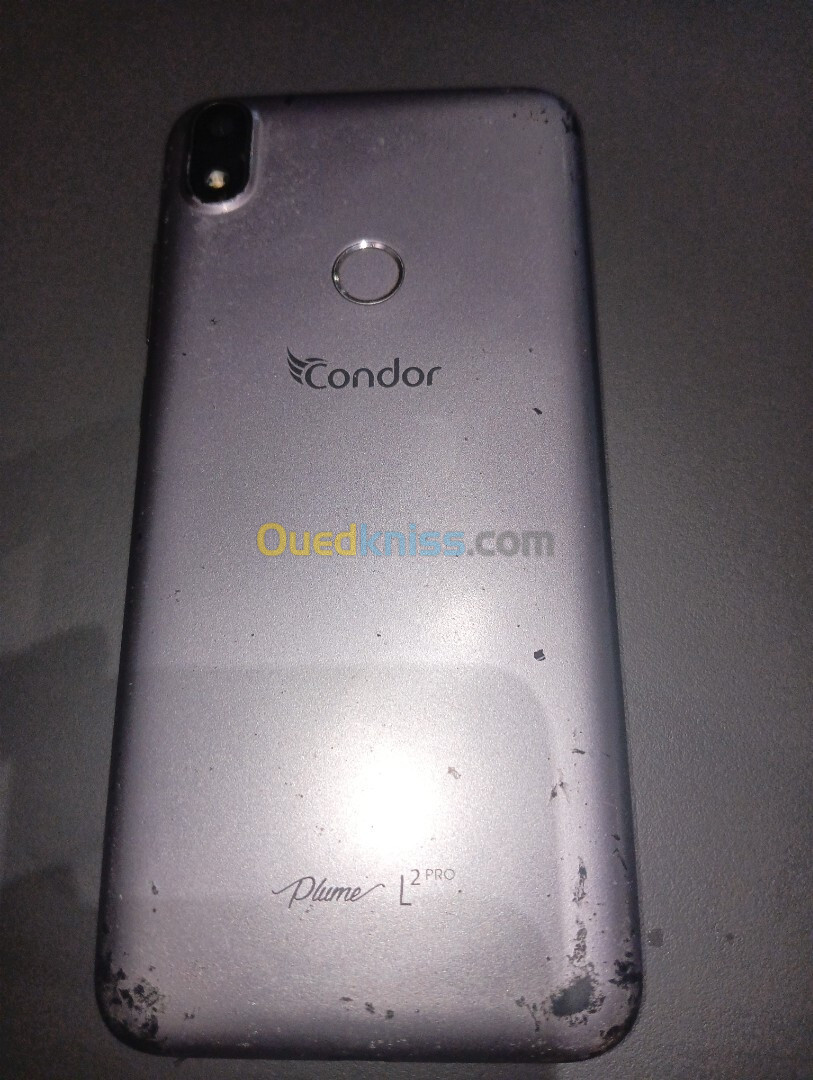 Condor L2