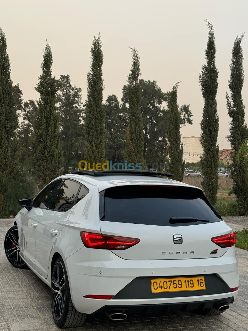 Seat Seat 2019 Cupra