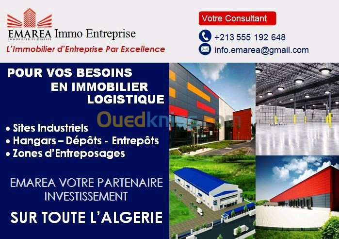 Vente Hangar Setif Setif