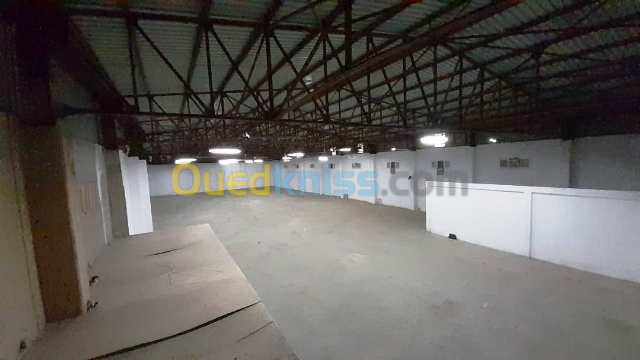 Location Hangar Setif Setif