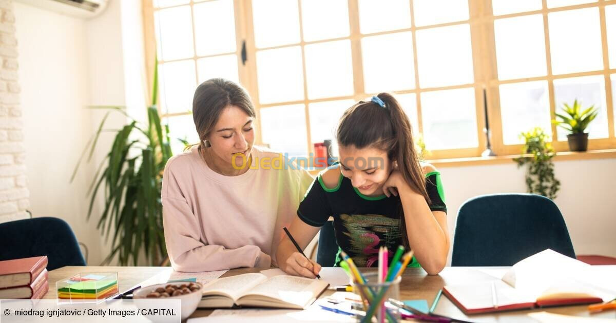 enseignante de cours particuliers en Français, Anglais, Mathématiques et Physiques.