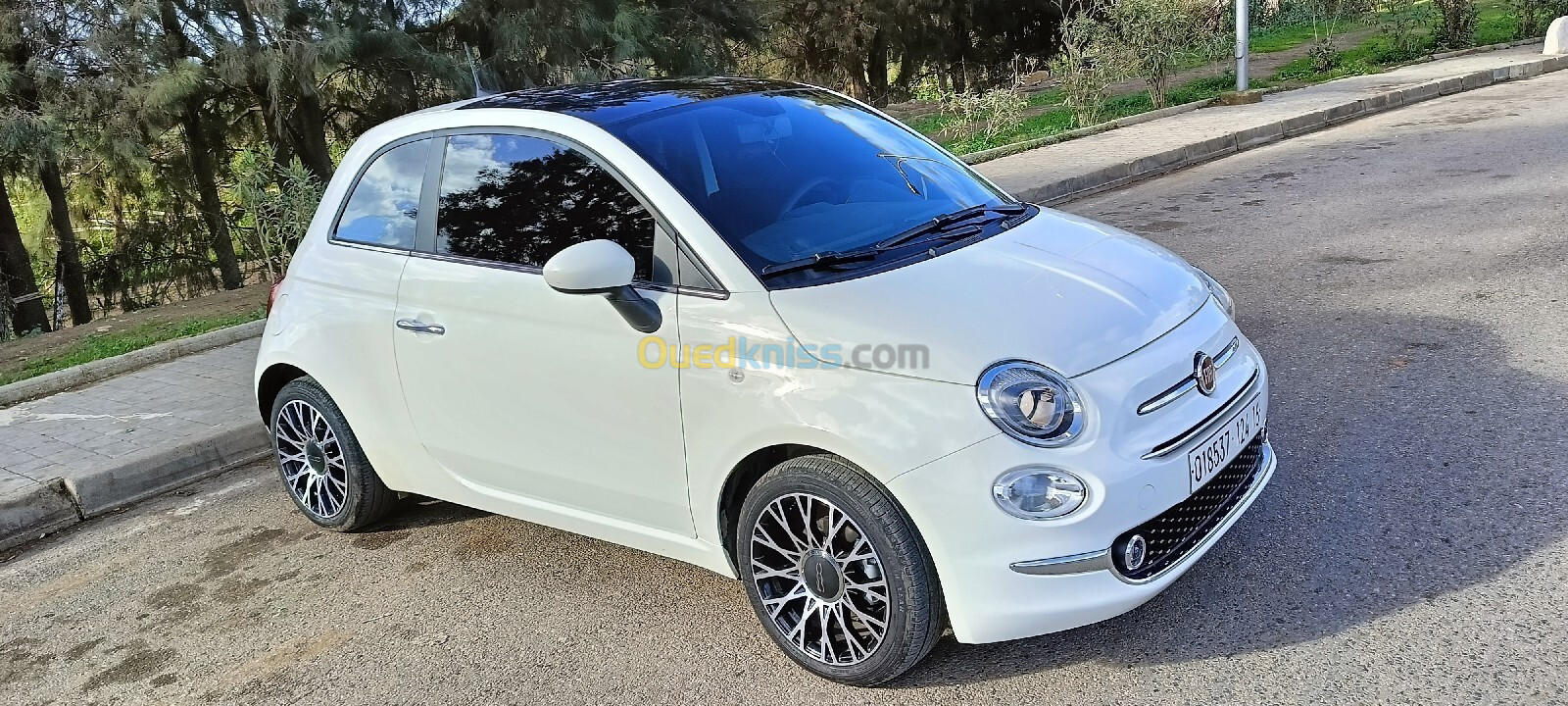 Fiat 500 2024 