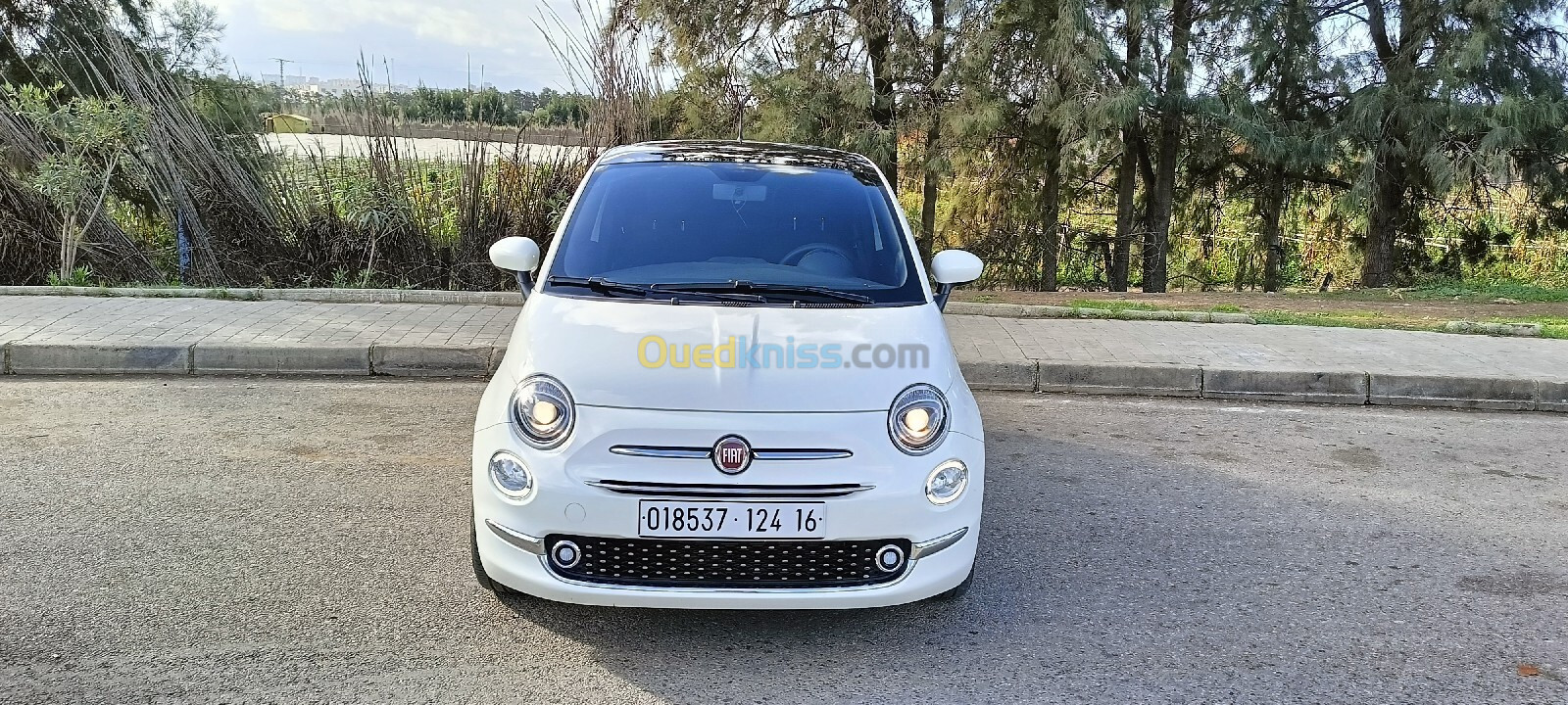 Fiat 500 2024 