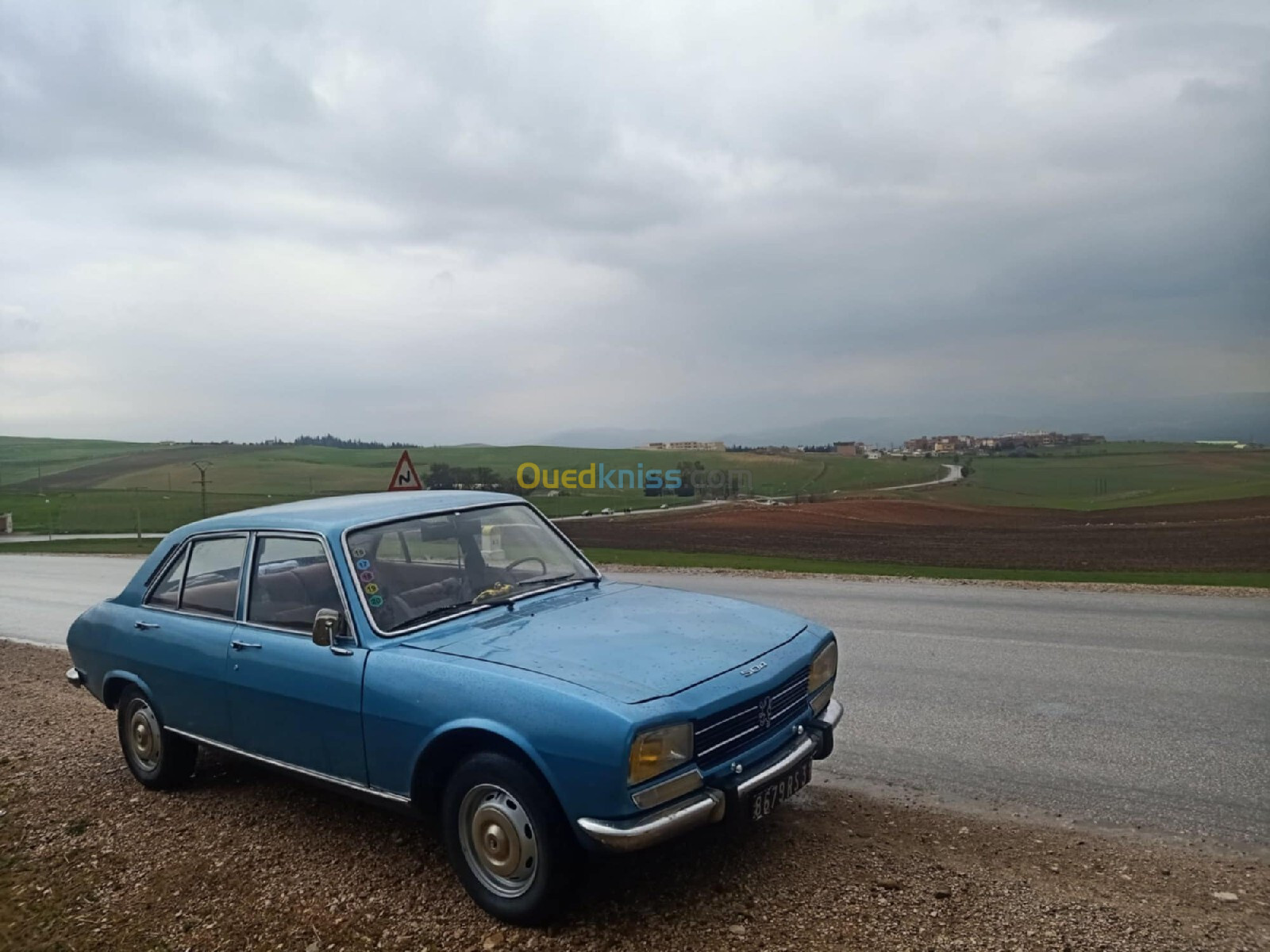 Peugeot 504 1974 Gl