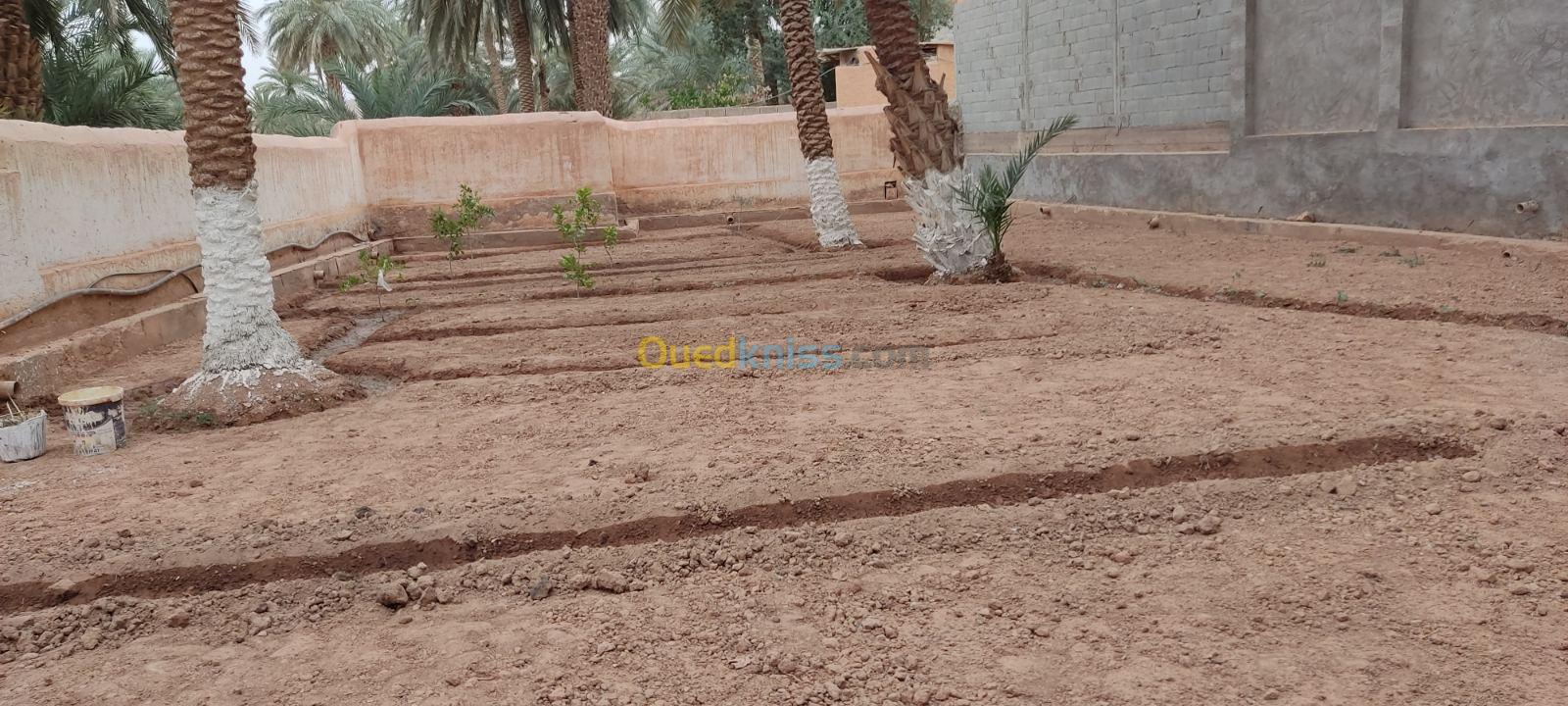 Vente Terrain Ghardaïa Bounoura