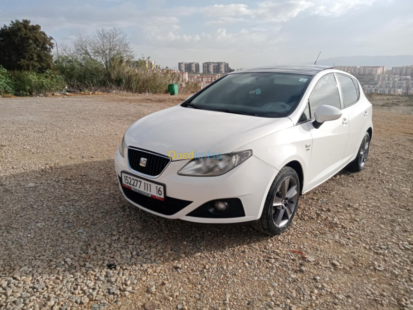 Seat Ibiza 2011 Loca