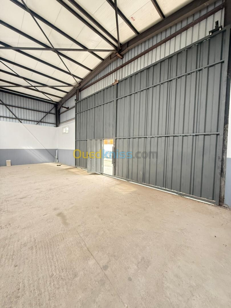 Location Hangar Alger Oued smar