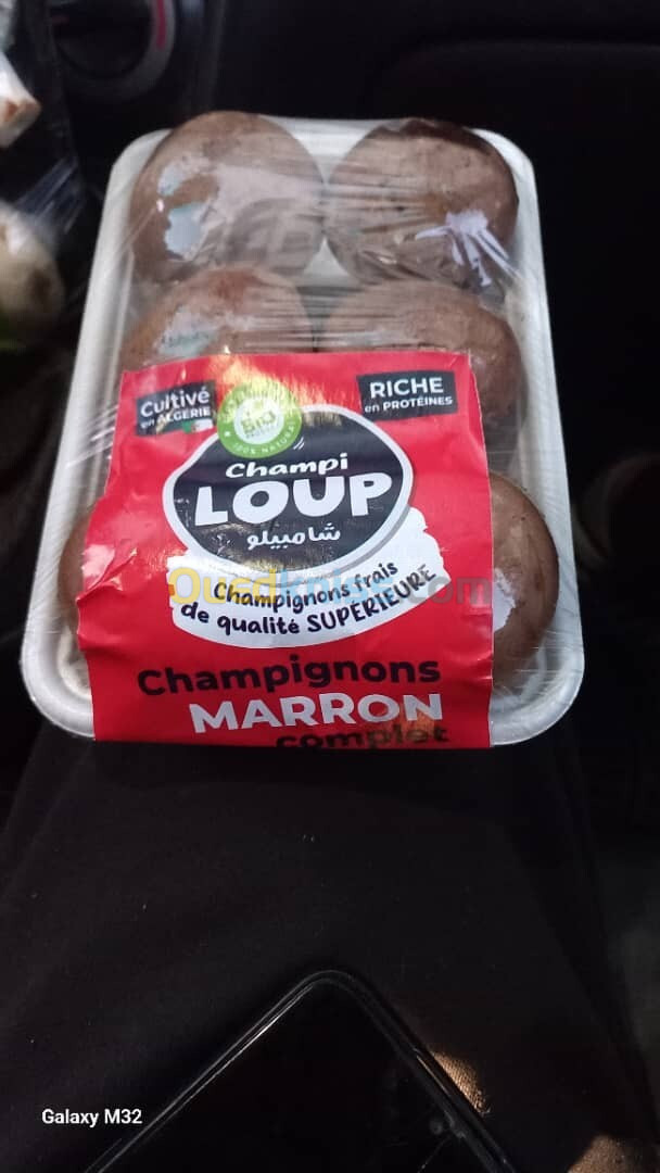 Champignons  frais blancs et marron vente seulement en gros 