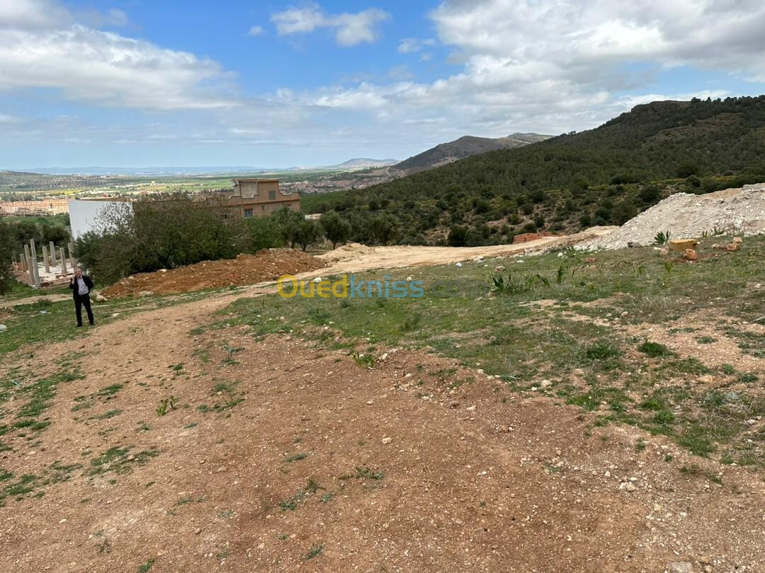 Vente Terrain Tlemcen Tlemcen