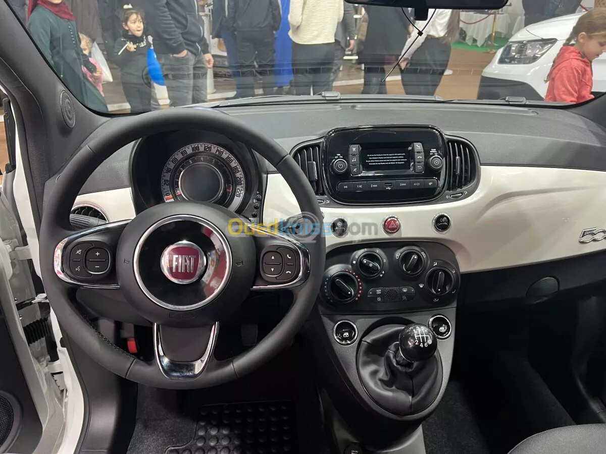 Fiat 500 2024 Clut