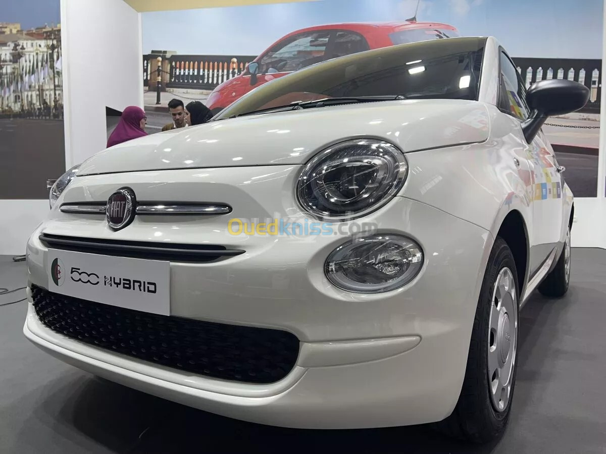 Fiat 500 2024 Clut