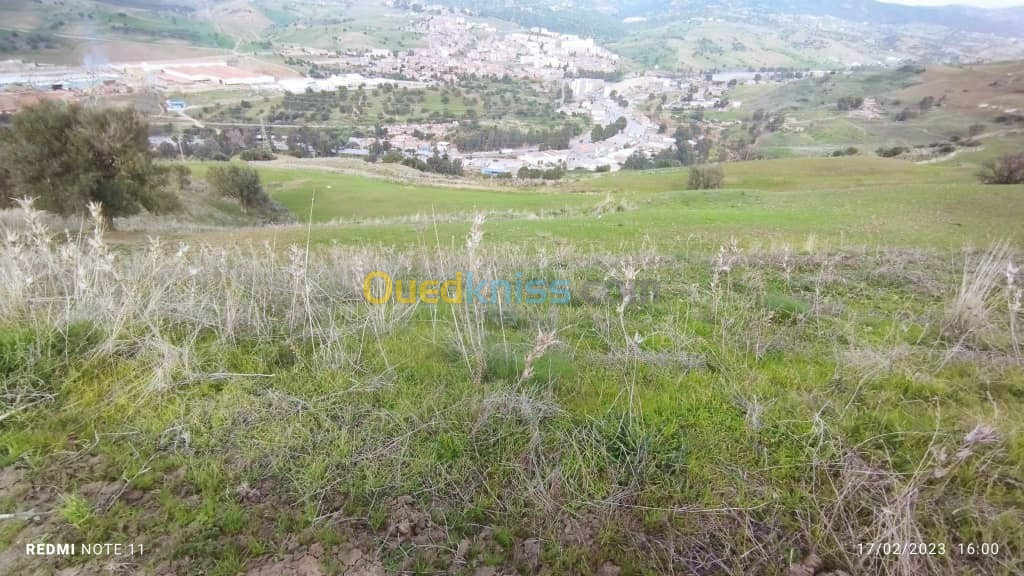 Vente Terrain Agricole Bouira Djebahia