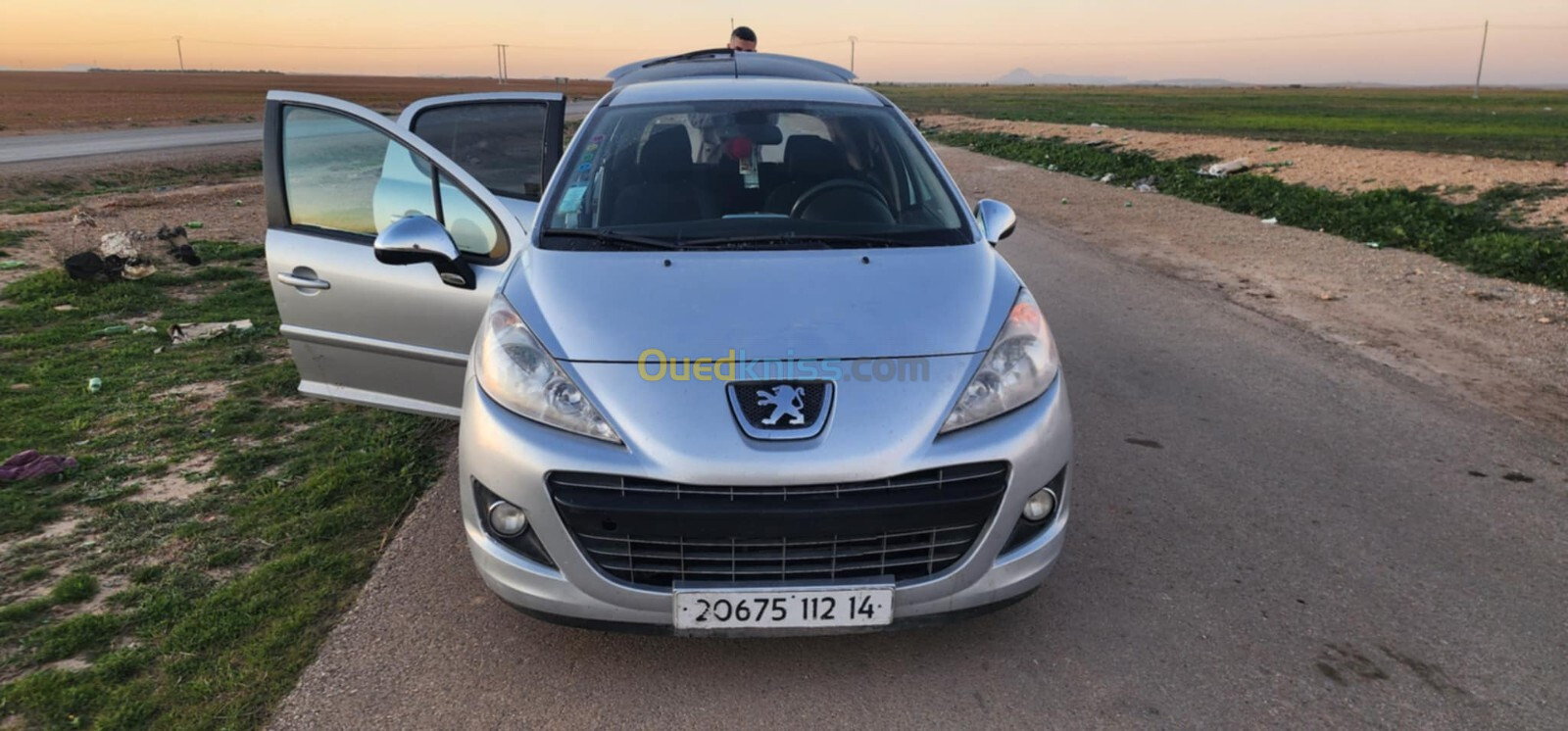 Peugeot 207 2012 Fennec