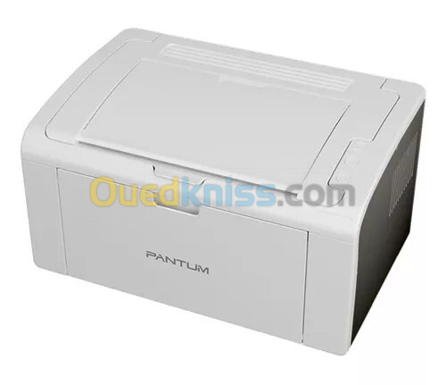 IMPRIMANTE PANTUM P2509 LASER MONOCHROME