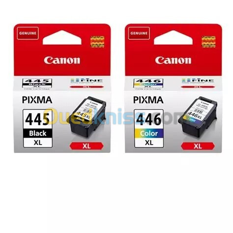 PACK Cartouches CANON PIXMA 445,446