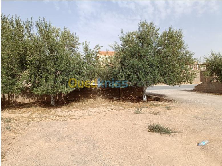 Location bien immobilier Sétif Ain oulmene