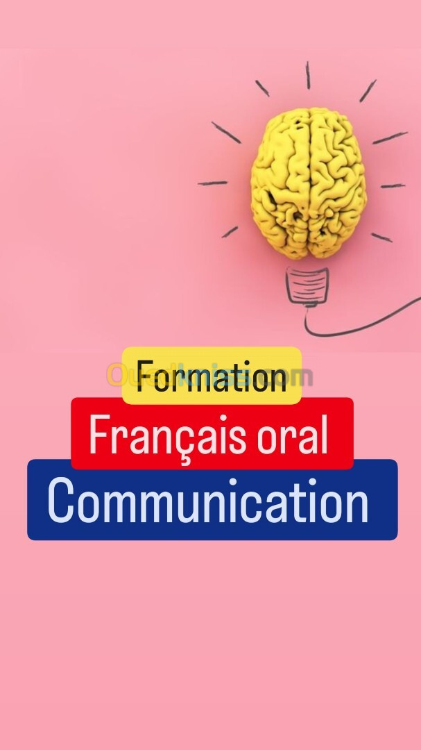 Cours de français oral en ligne / Communication / conversation 