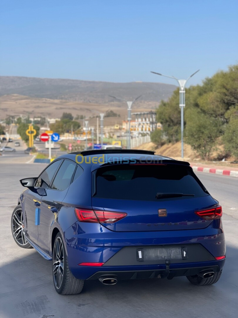 Seat Cupra 2019 Copper