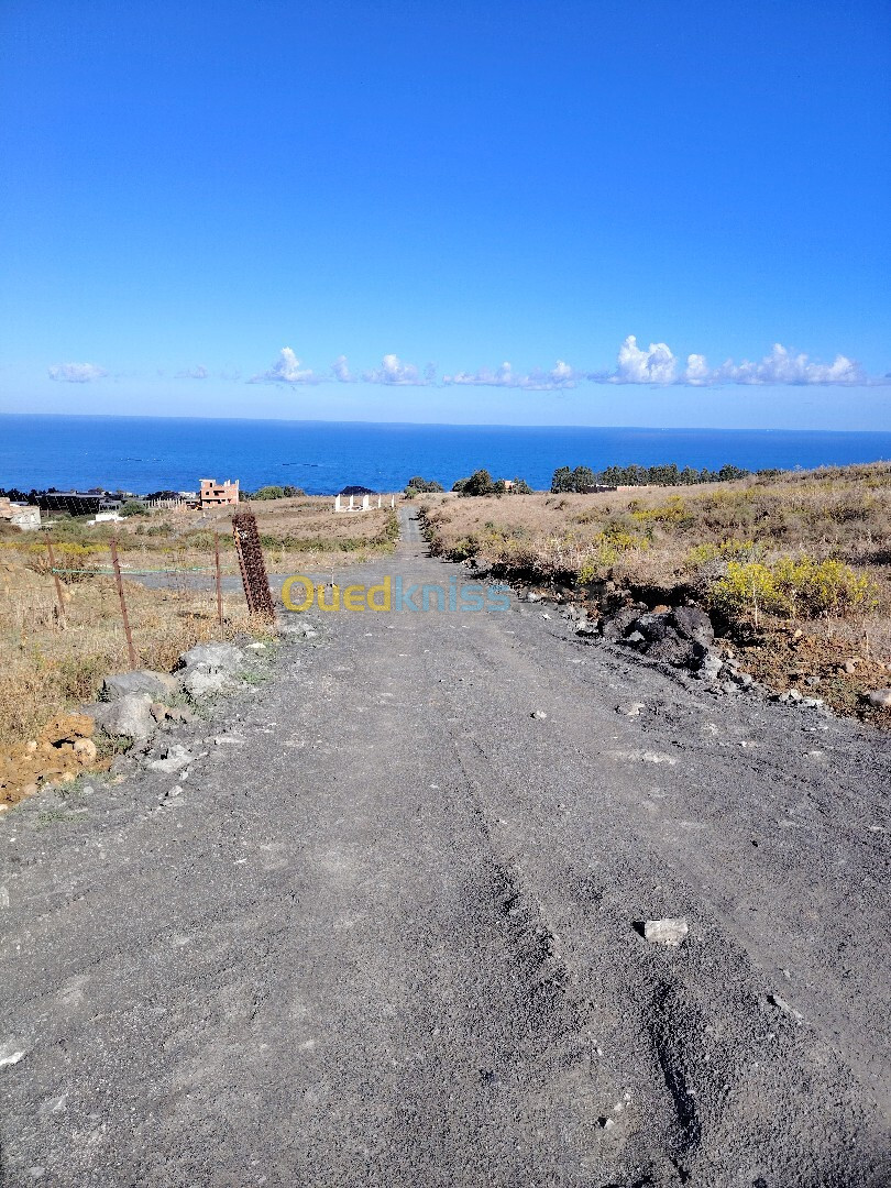 Vente Terrain Boumerdès Afir