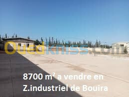 Vente Terrain Bouira Bouira