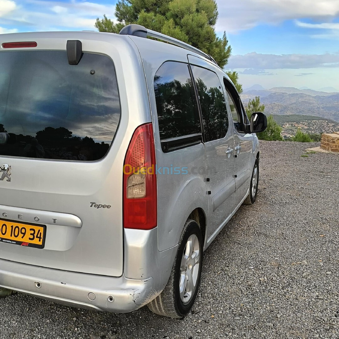 Peugeot Partner 2009 Tepee