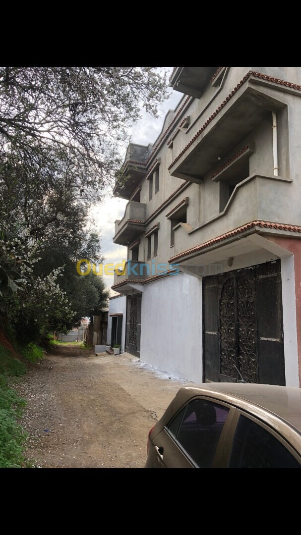 Vente Villa Alger Douera