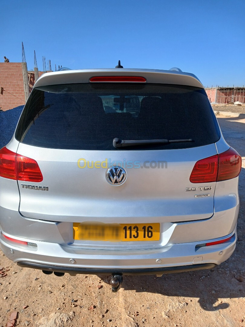 Volkswagen Tiguan 2013 