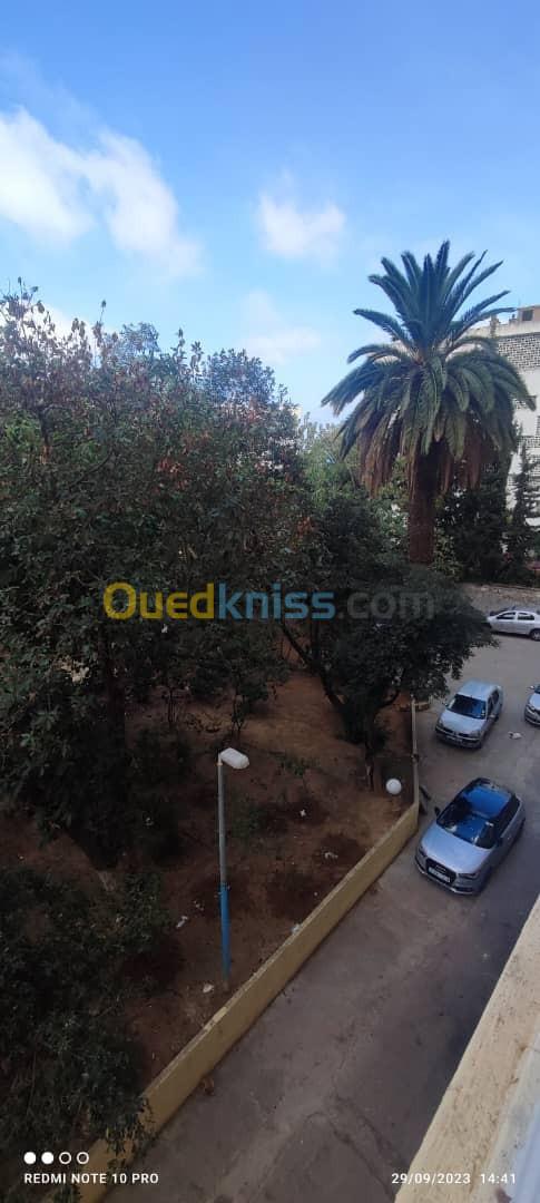 Location Appartement F3 Alger Alger centre