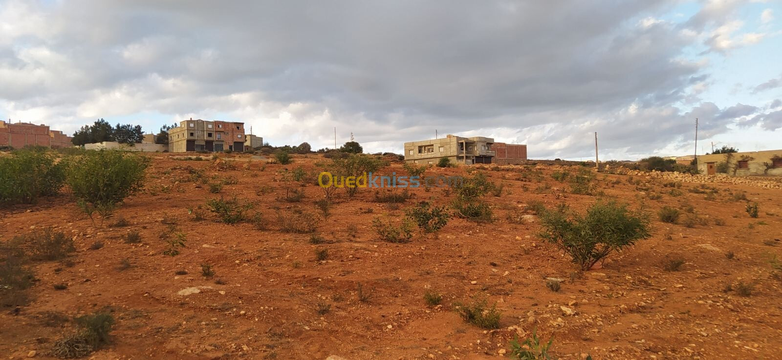 Vente Terrain Mostaganem Sayada