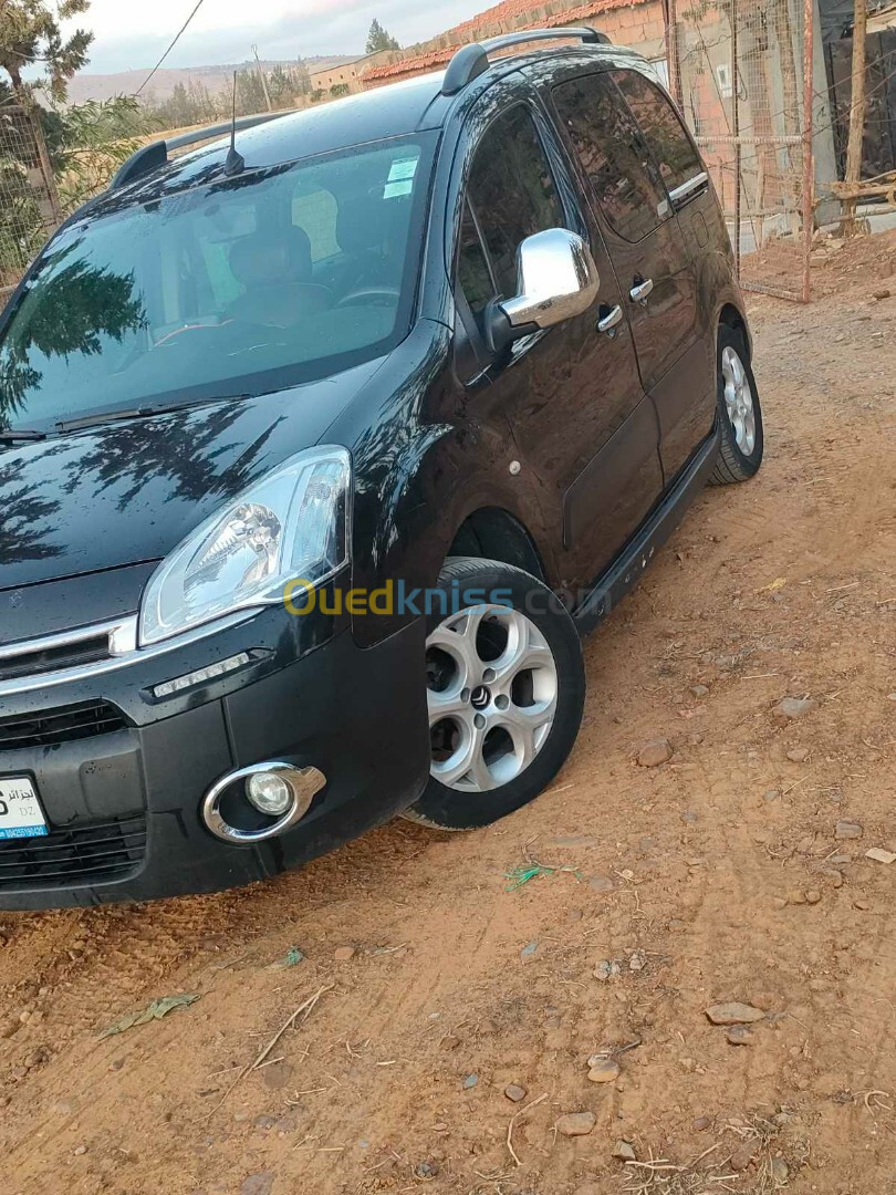 Citroen Berlingo 2013 Berlingo