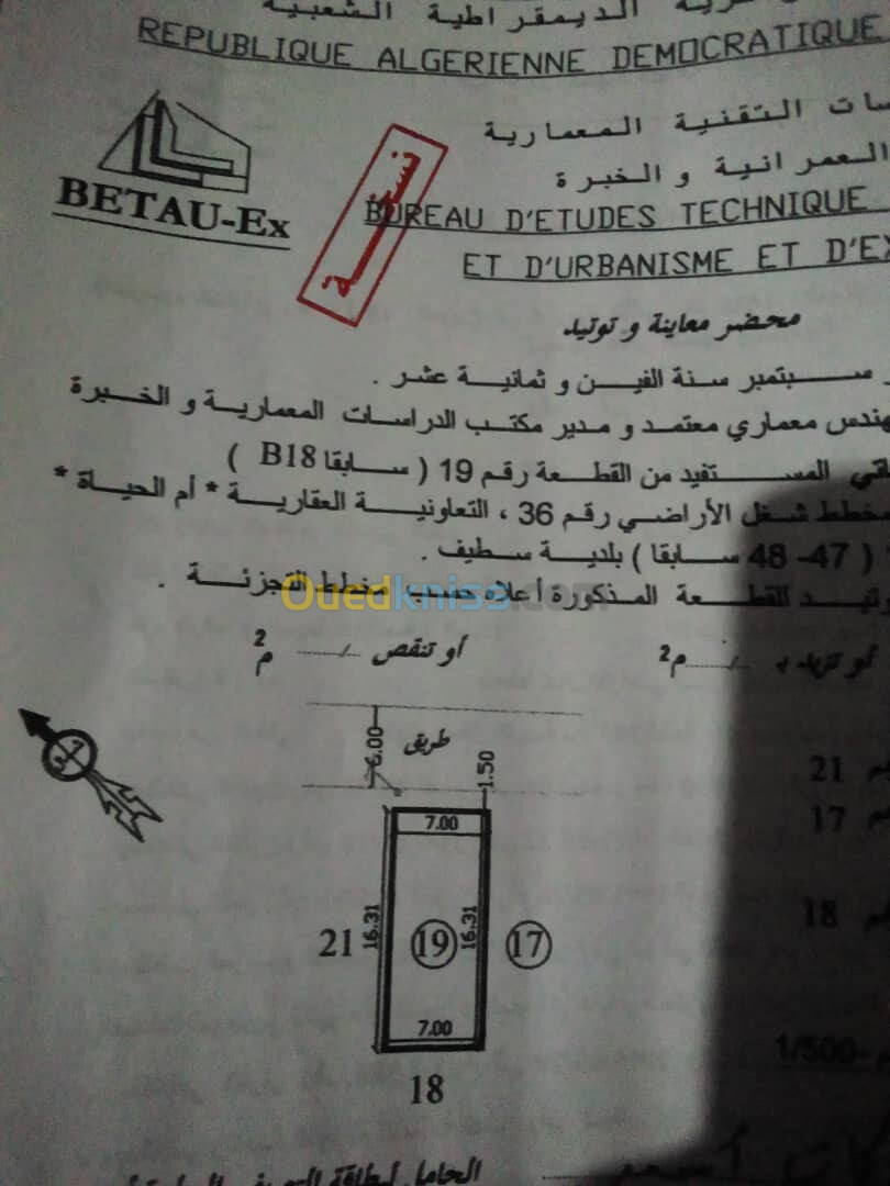 Vente Terrain Sétif Setif