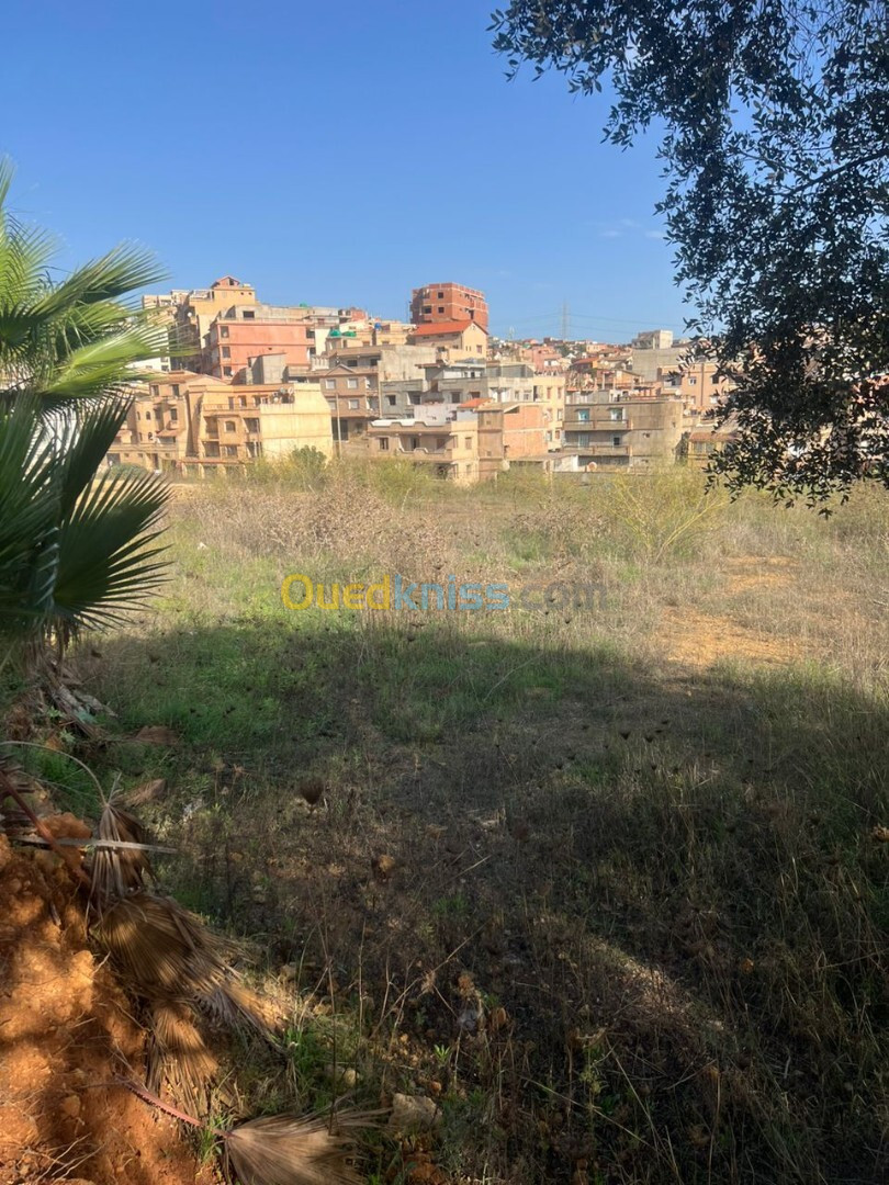 Location Terrain Alger Draria