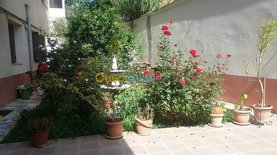 Vente Appartement F4 Alger Beni messous