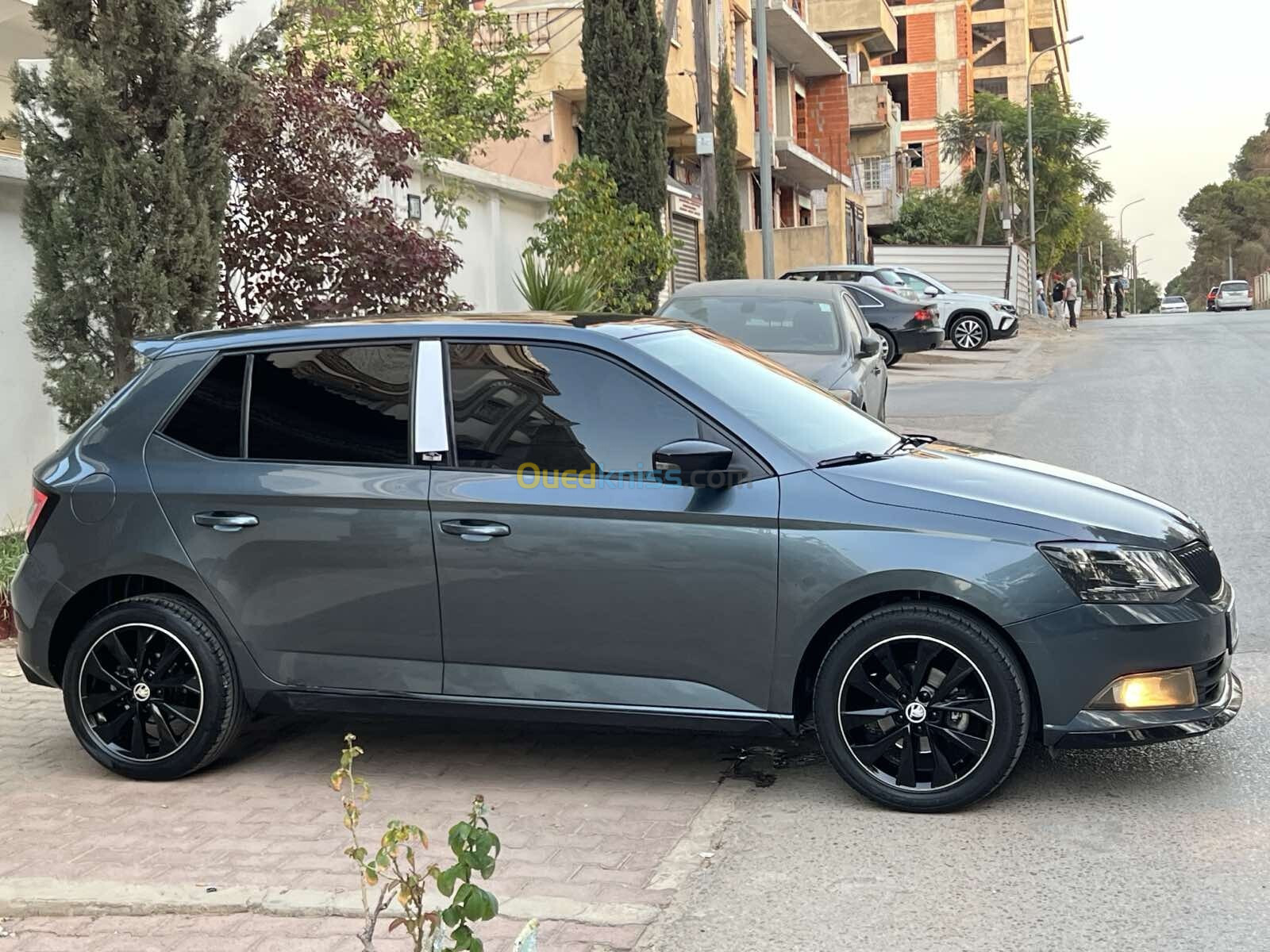 Skoda Fabia 2017 Monte Carlo