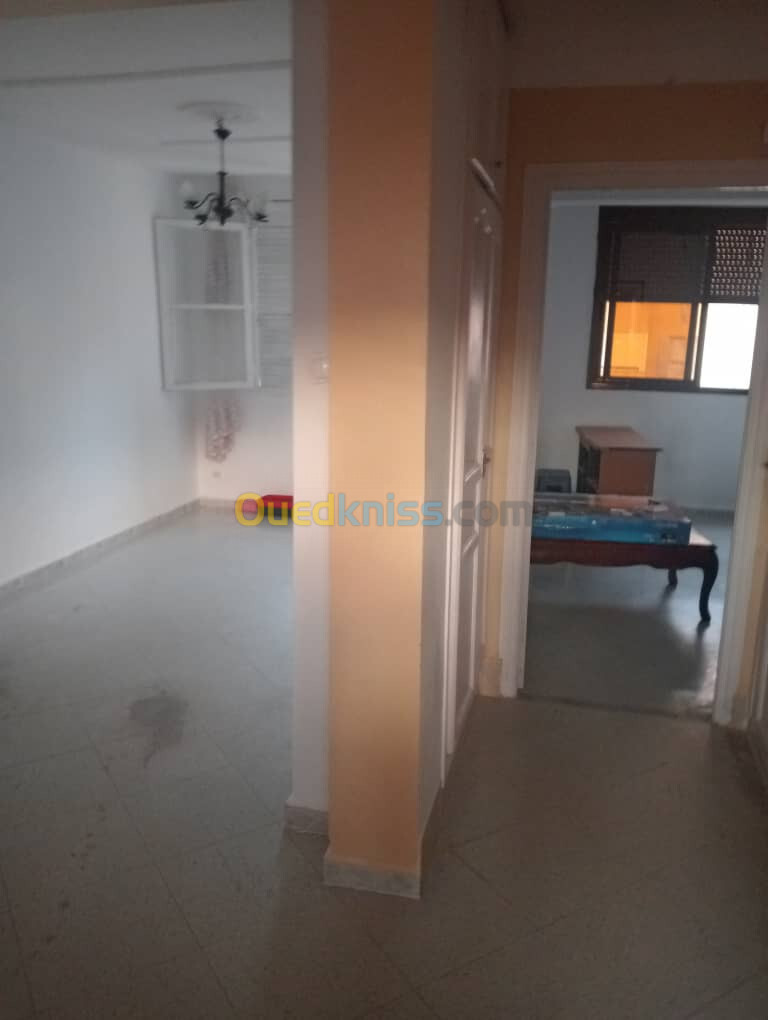 Location Appartement F3 Alger Bologhine