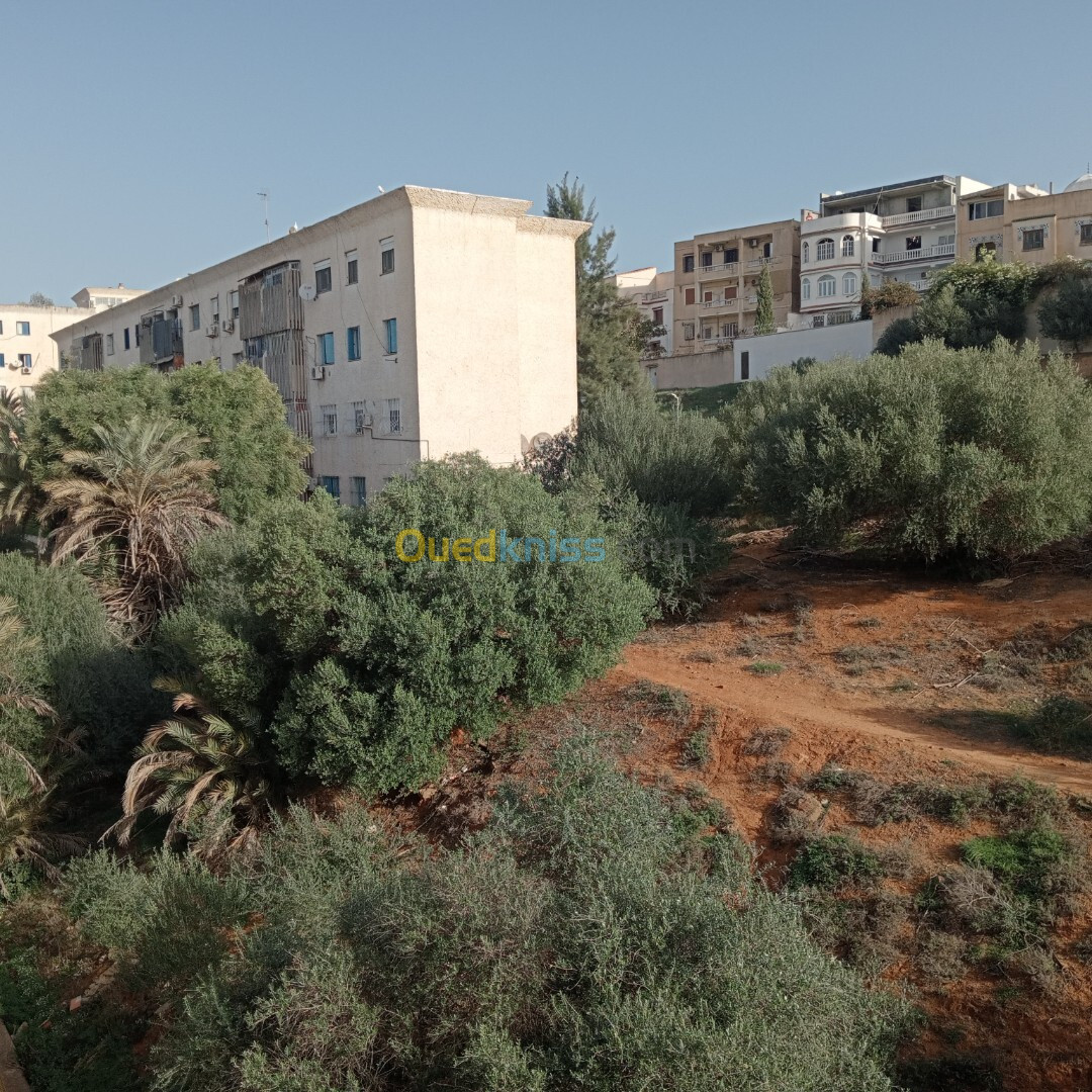 Location Appartement F4 Alger Kouba