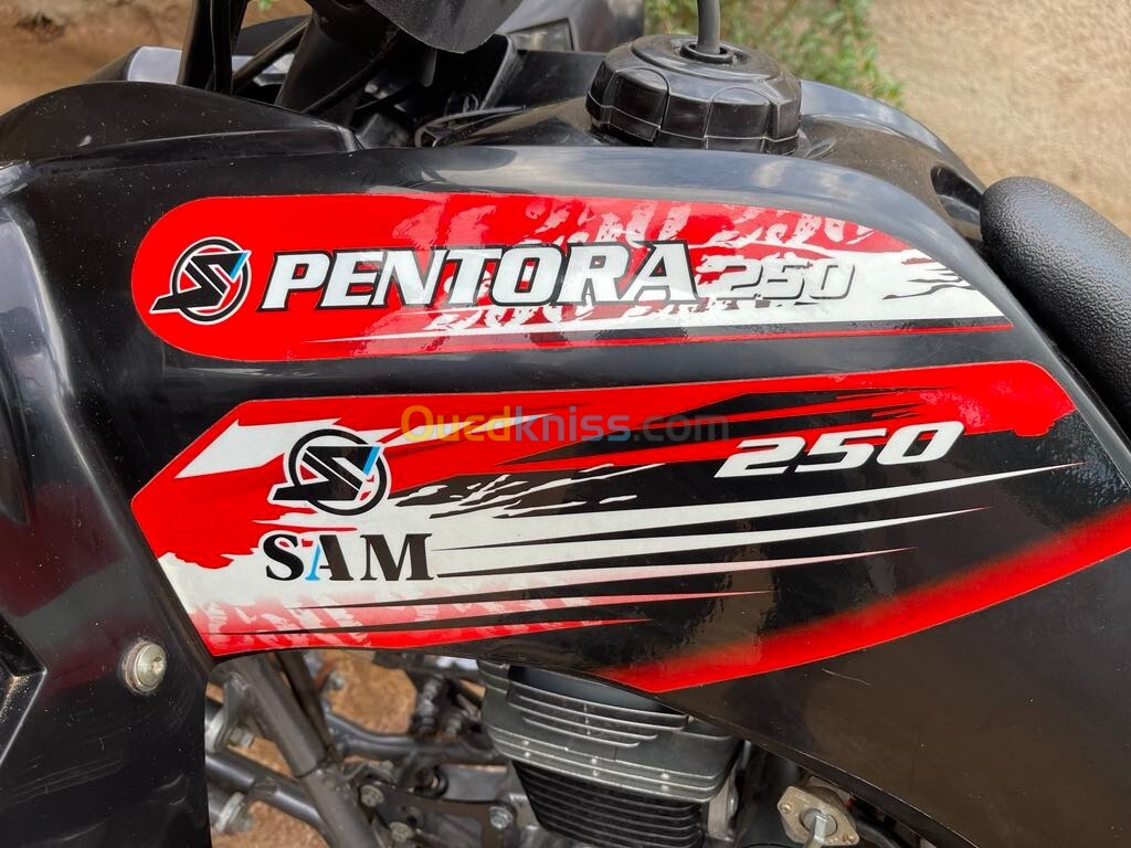 SAM Pentora 250 cc 2022