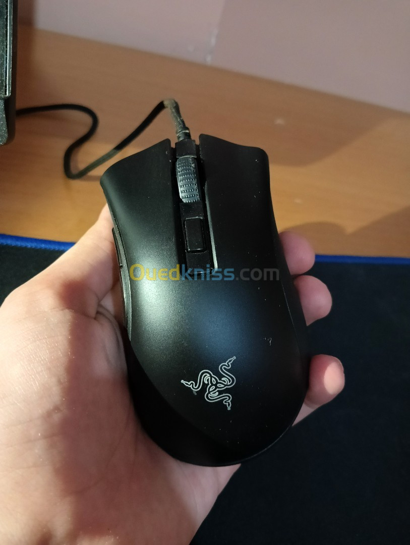 Souris razer Deathadder V2 Mini