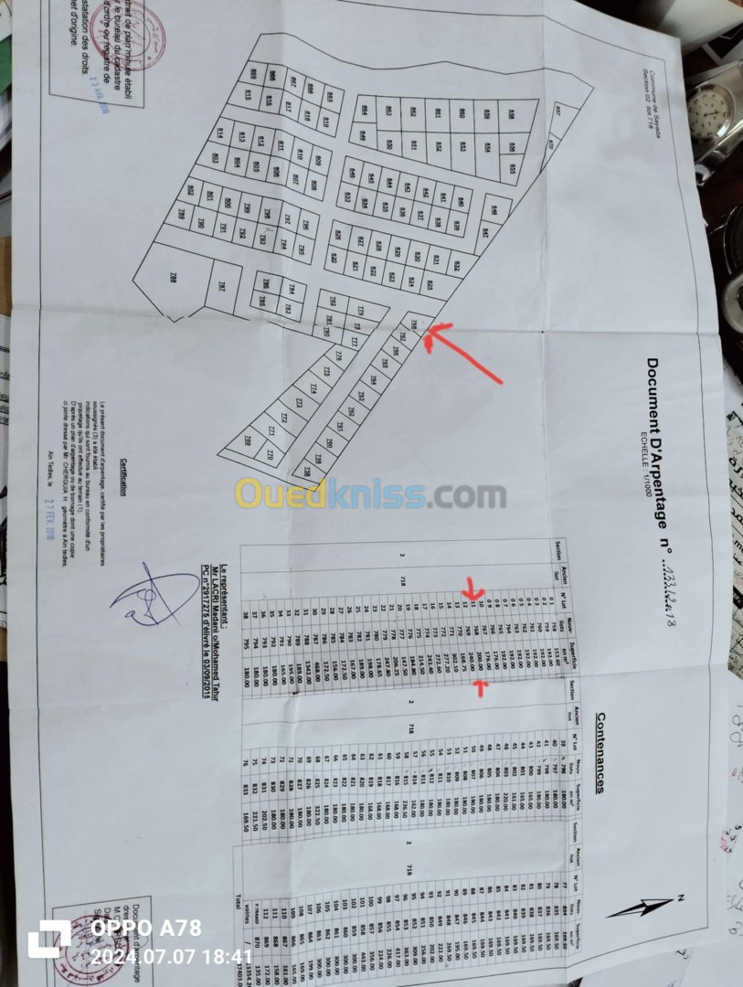 Vente Terrain Mostaganem Sayada