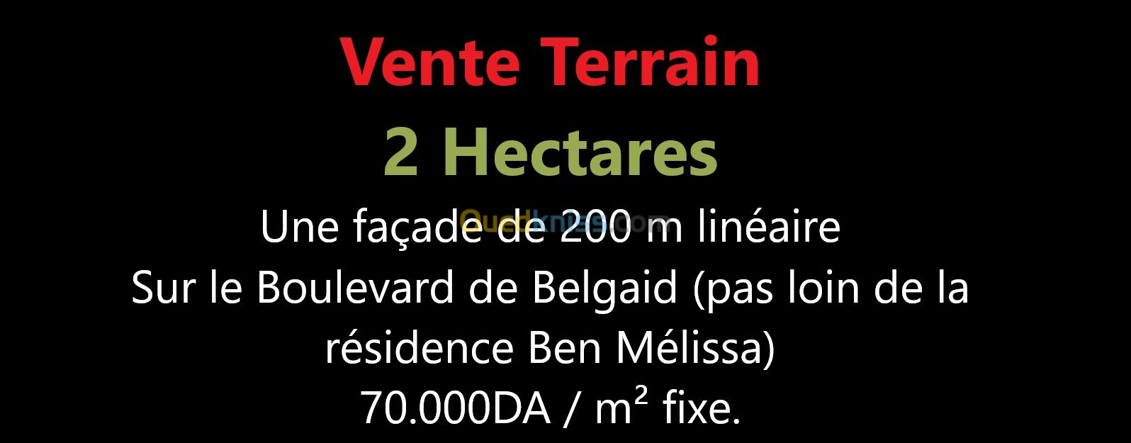 Vente Terrain Oran Bir el djir