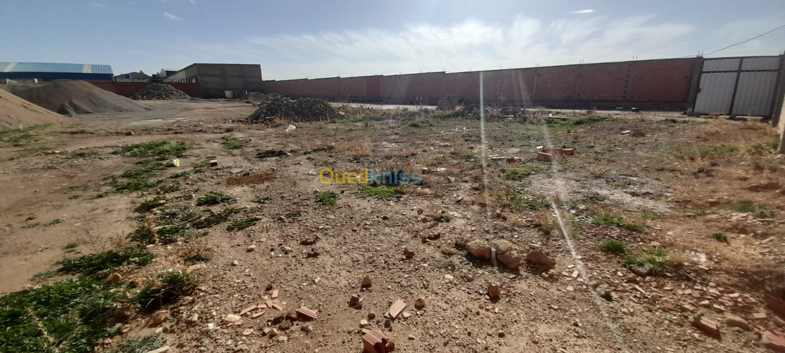 Location Terrain Tiaret Tiaret