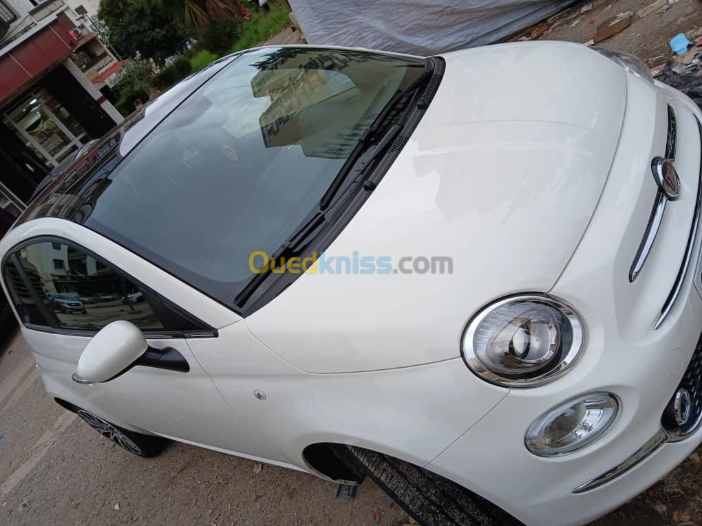 Fiat 500 2024 Dolti vita