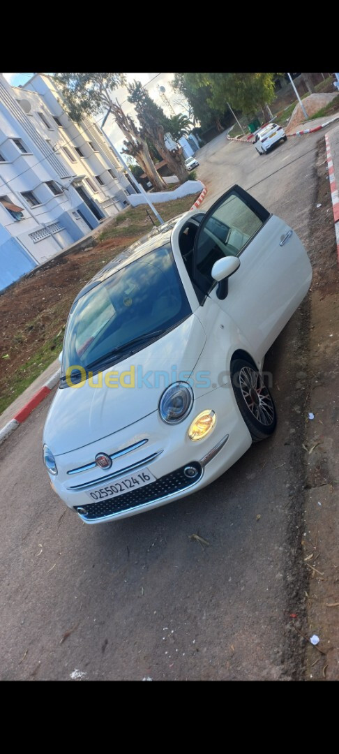 Fiat 500 2024 Dolti vita