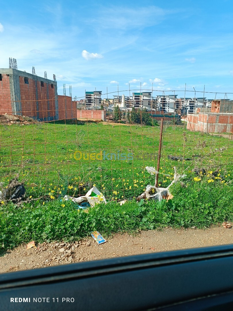 Vente Terrain Boumerdès Ouled moussa