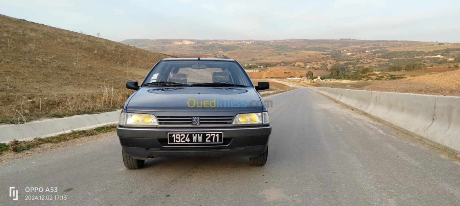 Peugeot 405 1991 405